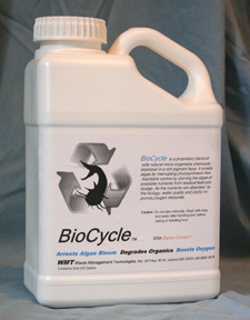 BioCycle Algaestat BioCycle (Liquid) - ALGAECIDES