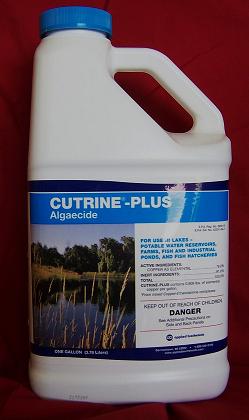 Cutrine Plus Liquid Cutrine1 - ALGAECIDES